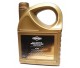 Olej syntetyczny 4-takt SAE 5W-30 Premium Long Life Briggs & Stratton 5 L