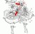 MTD75605034A_schemat