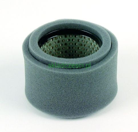 Filtr powietrza do Robin EC12 EC13V