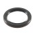 Oryginalny uszczelniacz Briggs Stratton INTEK AVS OHV POWER VANGUARD