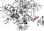 Pasek napędu jazdy MTD SE 135 A SN 170 A SN 180 AT SilverCut SC 155/92 180/105