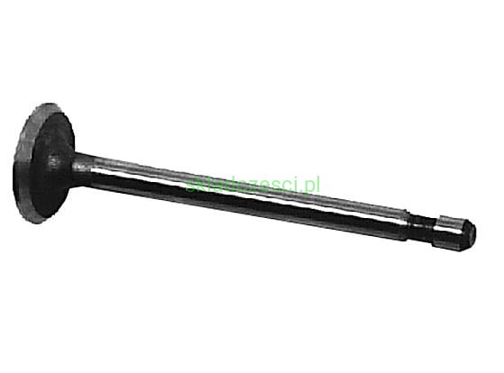 Zawór wydechowy do Briggs & Stratton serii 14 17 19