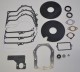 Zestaw uszczelek Briggs & Stratton 492653 391834