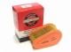Filtr powietrza 792038 Briggs DOV 700E 750EX 775iS ORYGINALNY