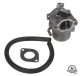 Gaźnik Briggs & Stratton 593432 794653