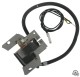 Cewka zapłonowa 591420 Briggs & Stratton oryginalna