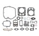 Zestaw uszczelek Briggs & Stratton 795442
