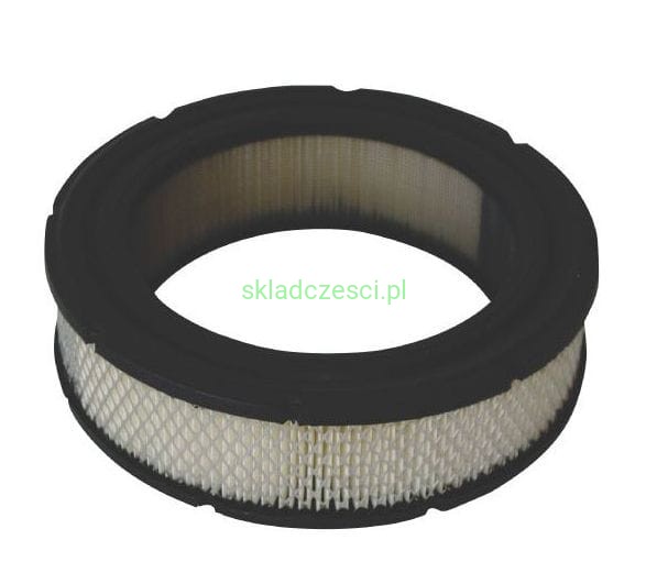 Filtr powietrza 692519 do Briggs Vanguard seria 35 i 38