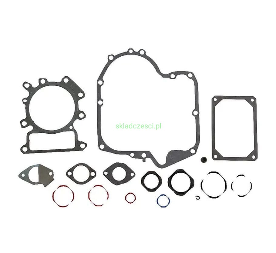 Zestaw uszczelek Briggs Stratton INTEK AVS OHV 13 - 19 KM
