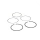 Pierścienie tłoka Briggs Stratton 797011 792306 model seria 21 28