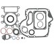 Zestaw uszczelek 796181 Briggs & Stratton