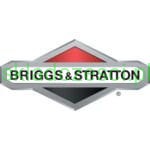 Pierścienie tłoka Briggs&Stratton 84004091