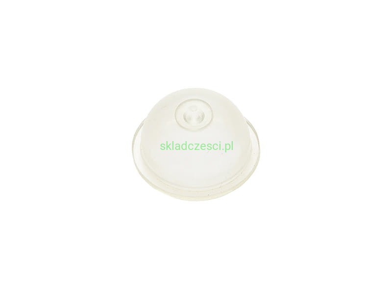 Z00118811