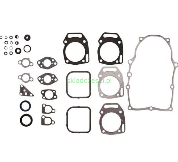  Zestaw uszczelek Briggs & Stratton 841188
