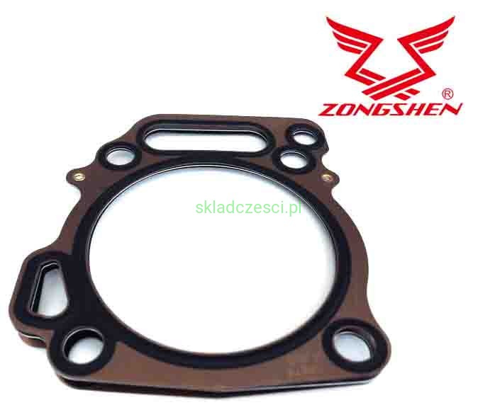 ZS100010230