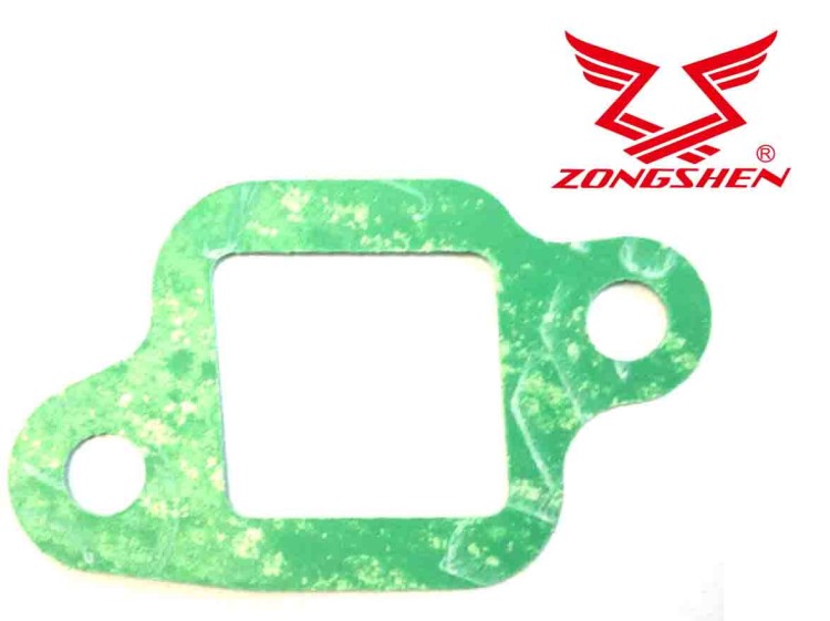 ZS100005560