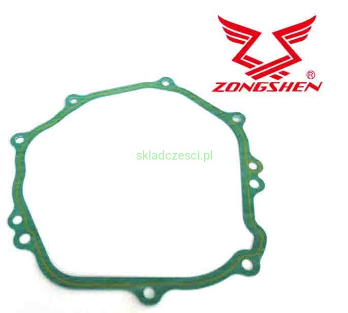 ZS100010163