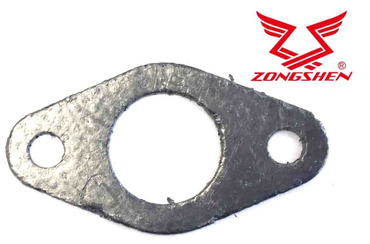 ZS100006523
