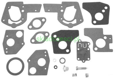 Zestaw naprawczy gaźnika do Briggs&Stratton 2 - 5 HP (Pulsa-Jet)