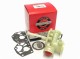 Gaźnik Briggs & Stratton Classic Seria 400 / 500 (ORYGINALNY)